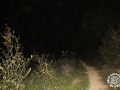 16a-Caminada-nocturna-0165