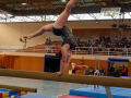26.03.03-Gaer-3