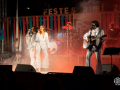 26.06.01-Revival-Sirex-4