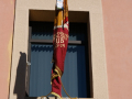 DSCF3384