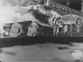 370_0702.54-06-camara-fosca