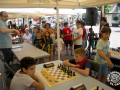 044_0629.03-01-escacs-inf-1