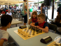 047_0629.03-04-escacs-inf-4