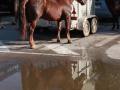 164_05.01.02.1muntatge-carles-e-8