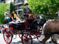 198_Sant-Antoni-22-6-de-25