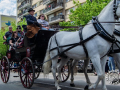199_Sant-Antoni-22-7-de-25
