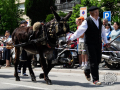 201_Sant-Antoni-22-9-de-25-copia