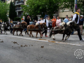 209_Sant-Antoni-22-18-de-25-copia