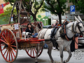 210_Sant-Antoni-22-19-de-25-copia
