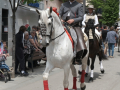 334_DSCF3807