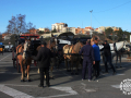 0260-2023.01.29.3.2-SANT-ANTONI-MUNTATGE-DE-CARRUATGES-RUBI-D-paco