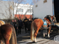 0266-2023.01.29.3.2-SANT-ANTONI-MUNTATGE-DE-CARRUATGES-RUBI-D-paco