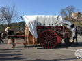 0269-2023.01.29.3.2-SANT-ANTONI-MUNTATGE-DE-CARRUATGES-RUBI-D-paco