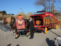 0271-2023.01.29.3.2-SANT-ANTONI-MUNTATGE-DE-CARRUATGES-RUBI-D-paco