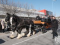 0294-2023.01.29.4.0-SANT-ANTONI-INICI-RUA-TOTS-CARROS-j.oller_