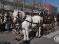 0301-2023.01.29.4.0-SANT-ANTONI-INICI-RUA-TOTS-CARROS-j.oller_