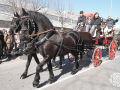 0310-2023.01.29.4.0-SANT-ANTONI-INICI-RUA-TOTS-CARROS-j.oller_
