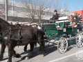 0314-2023.01.29.4.0-SANT-ANTONI-INICI-RUA-TOTS-CARROS-j.oller_
