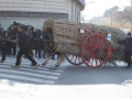 0340-2023.01.29.4.0-SANT-ANTONI-INICI-RUA-TOTS-CARROS-j.oller_