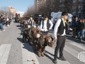 0345-2023.01.29.4.0-SANT-ANTONI-INICI-RUA-TOTS-CARROS-j.oller_
