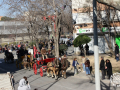 0368-2023.01.29.4.1-SANT-ANTONI-RUA-INICI-paco