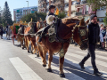 0411-2023.01.29.4.3-SANT-ANTONI-RUA-LES-TORRES-edu