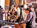 0451-2023.01.29.4.5-SANT-ANTONI-RUA-E.MONTSERRAT-jaume-r.