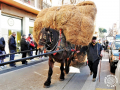 0452-2023.01.29.4.5-SANT-ANTONI-RUA-E.MONTSERRAT-jaume-r.