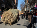 0504-2023.01.29.4.7.1-SANT-ANTONI-RUA-MACIA-isabel