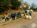 El Marquet de les Roques