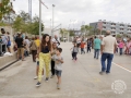 50 anys 25 (232)