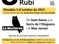 Cartell_A3_Nocturna_2015