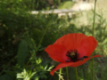 IMG_20230429_102830