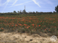 IMG_20230429_115723