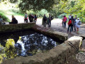 IMG-20251011-WA0052