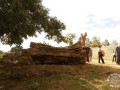IMG-20251014-WA0003