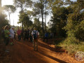 IMG-20251014-WA0004