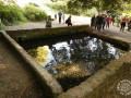 IMG-20251014-WA0010