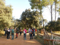 IMG-20251014-WA0011