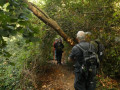 IMG-20251014-WA0012