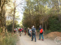 IMG-20251014-WA0013
