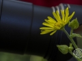 2015-04-11 09h19m24.jpg