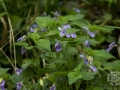 2015-04-11 09h57m26.jpg