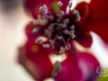2015-04-11 10h39m37.jpg