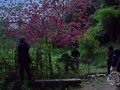 2015-04-11 11h19m17.jpg