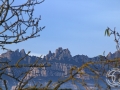 Image00003