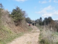 2015-03-14 11h52m29.jpg