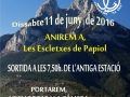 06 Cartell Escletxes de Papiol