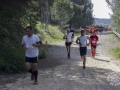 06 punt paco (56)
