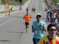 08 arribada adults (104)